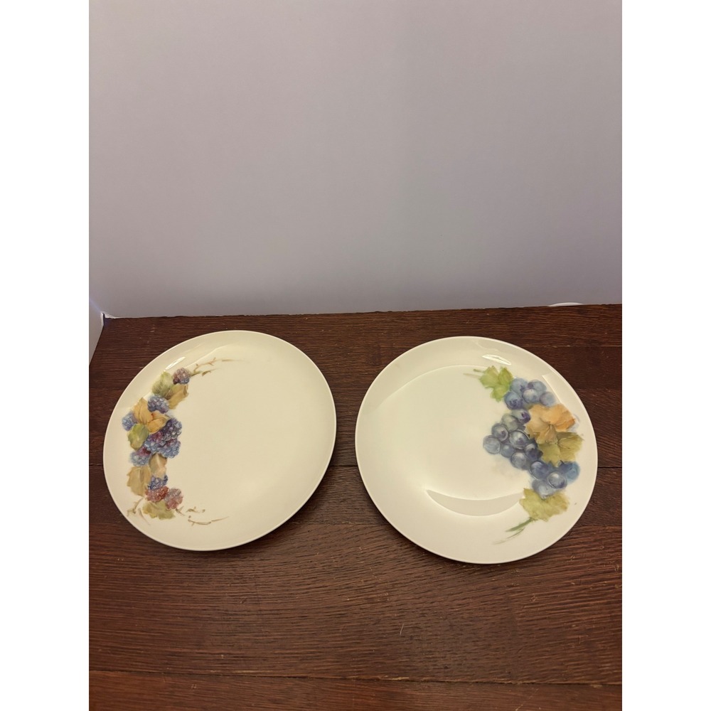 Harris Signed Fruit & Floral Plates Set of 2 | Rosenthal Eastern Air Lines Lot